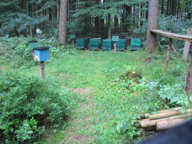 Ausflug des Kreisverbandes